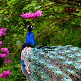 Brandywine Zoo Near The Concord